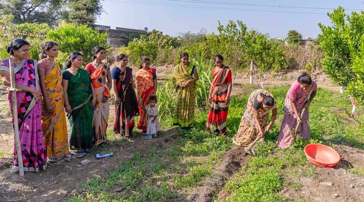 विविधता की कृषि संस्कृति का जवाब नहीं